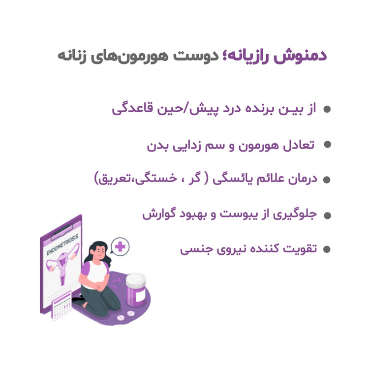 خرید دمنوش رازیانه بانوان ستین تنظیم قاعدگی و شیرافزا
